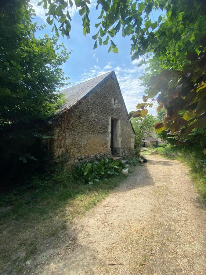 Loire Valley Llama Farm Stay Lavernat Exterior photo