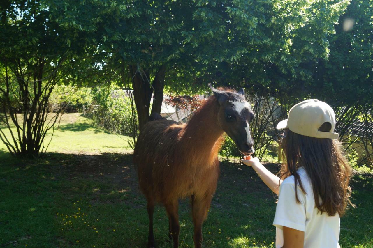 Loire Valley Llama Farm Stay Lavernat Exterior photo