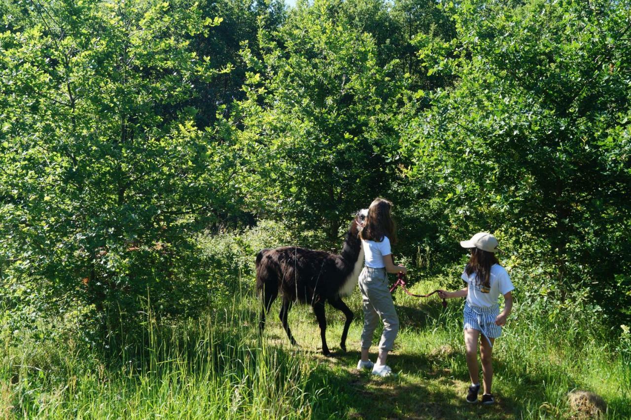 Loire Valley Llama Farm Stay Lavernat Exterior photo